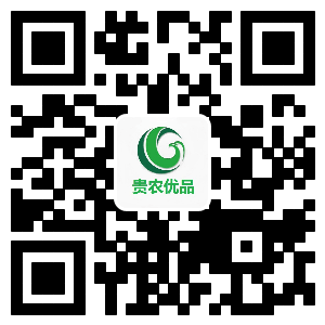 珠海网站建设|珠海网站开发|珠海微信小程序开发|珠海整合营销推广|珠海网络开发域名注册