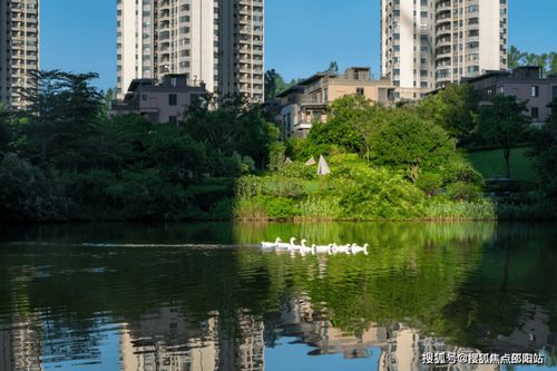 华发观山水 华发观山水售楼处 网站 华发观山水售楼处欢迎您 楼盘详情