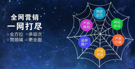 seo网站推广、东联网络(在线咨询)、珠海网站推广