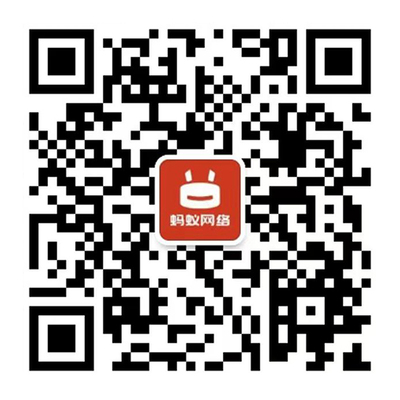 珠海市蚂蚁网络科技,免费企业网站建设