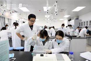 粤港澳大湾区发展规划纲要 出炉,北师港浸大如何持续发力