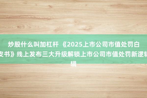 炒股什么叫加杠杆 《2025上市公司市值处罚白皮书》线上发布三大升级解锁上市公司市值处罚新逻辑